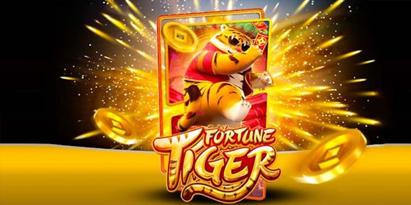 Quem é o Fortune Tiger 0055betbet.Com